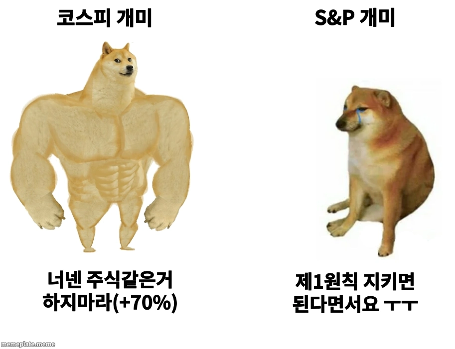 코스피vsS&P